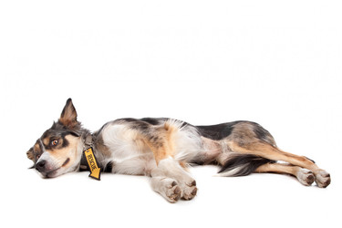 Similar image 1471082