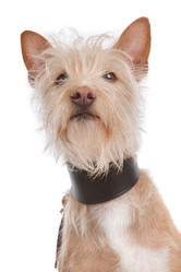 Similar image 1471084