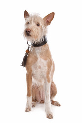 Similar image 1471093