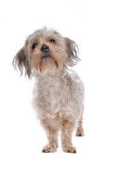 Similar image 1471096