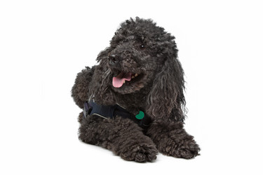 Similar image 1471115