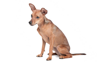 Similar image 1471118