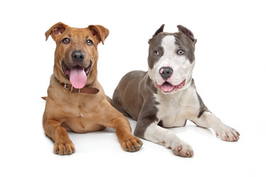 Similar image 1471122