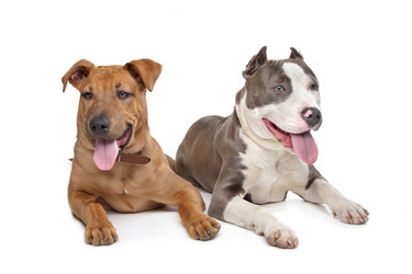 Similar image 1471124