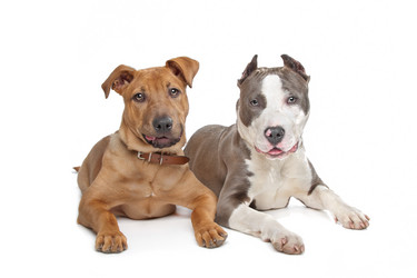 Similar image 1471127