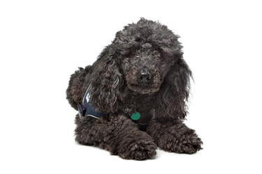 Similar image 1471129