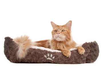 Similar image 1471132