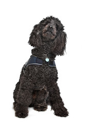 Similar image 1471139