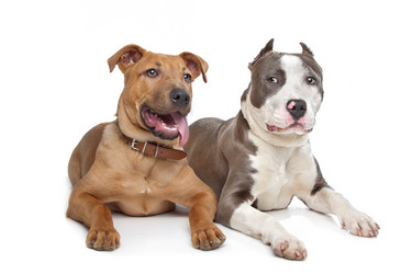 Similar image 1471141