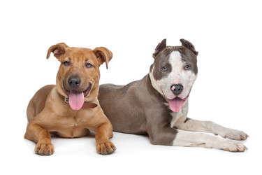 Similar image 1471143