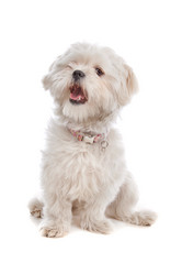 Similar image 1471157