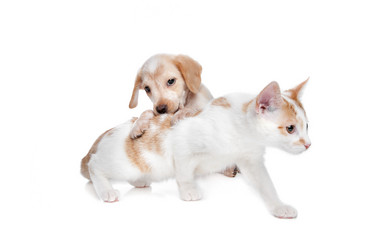 Similar image 1471166