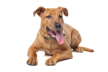 Similar image 1471169