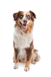 Similar image 1471212