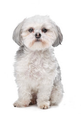 Similar image 1471215