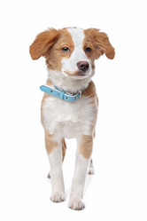 Similar image 1471216