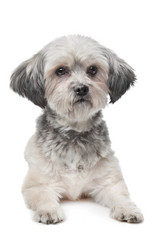 Similar image 1471218