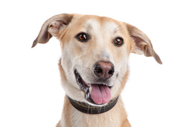 Similar image 1471221