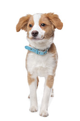 Similar image 1471222