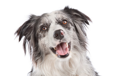 Similar image 1471230