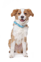 Similar image 1471231