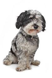 Similar image 1471233