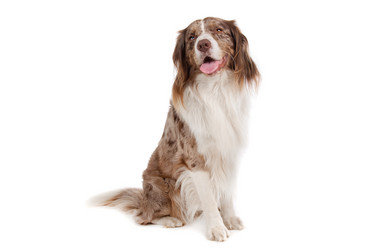 Similar image 1471235