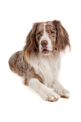 Similar image 1471240