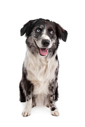 Similar image 1471241