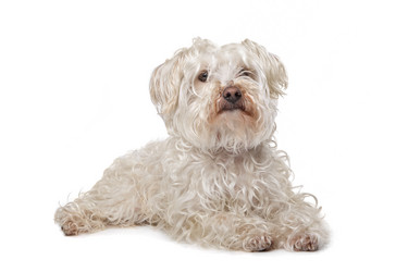 Similar image 1471246