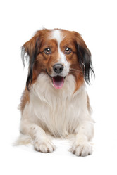 Similar image 1471247