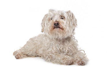 Similar image 1471251