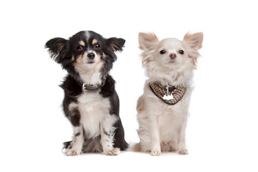 Similar image 1471253