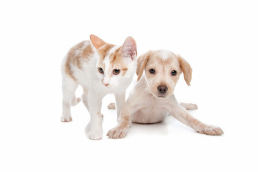 Similar image 1471264