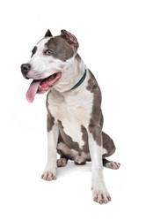 Similar image 1471267