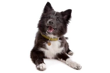 Similar image 1471269