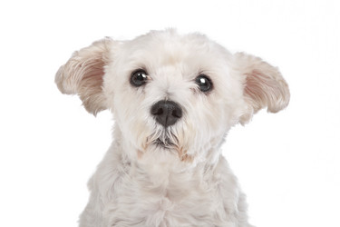 Similar image 1471275