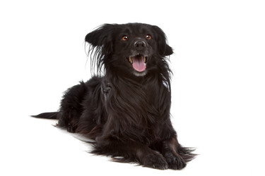 Similar image 1471276