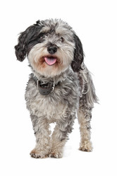 Similar image 1471280