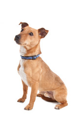 Similar image 1471281