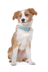 Similar image 1471282