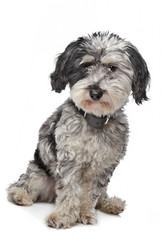 Similar image 1471284