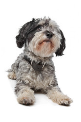 Similar image 1471285