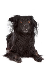 Similar image 1471286