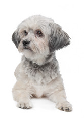 Similar image 1471287