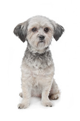 Similar image 1471290