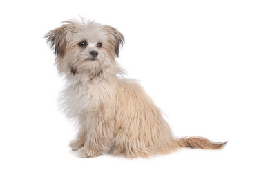 Similar image 1471292