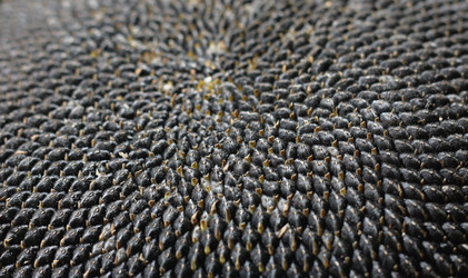 Similar image 1471303