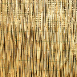 Similar image 1471333