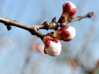 Similar image 1471360